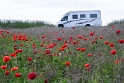 Tour Loire 05 - 201520150522_05226037 Kopie